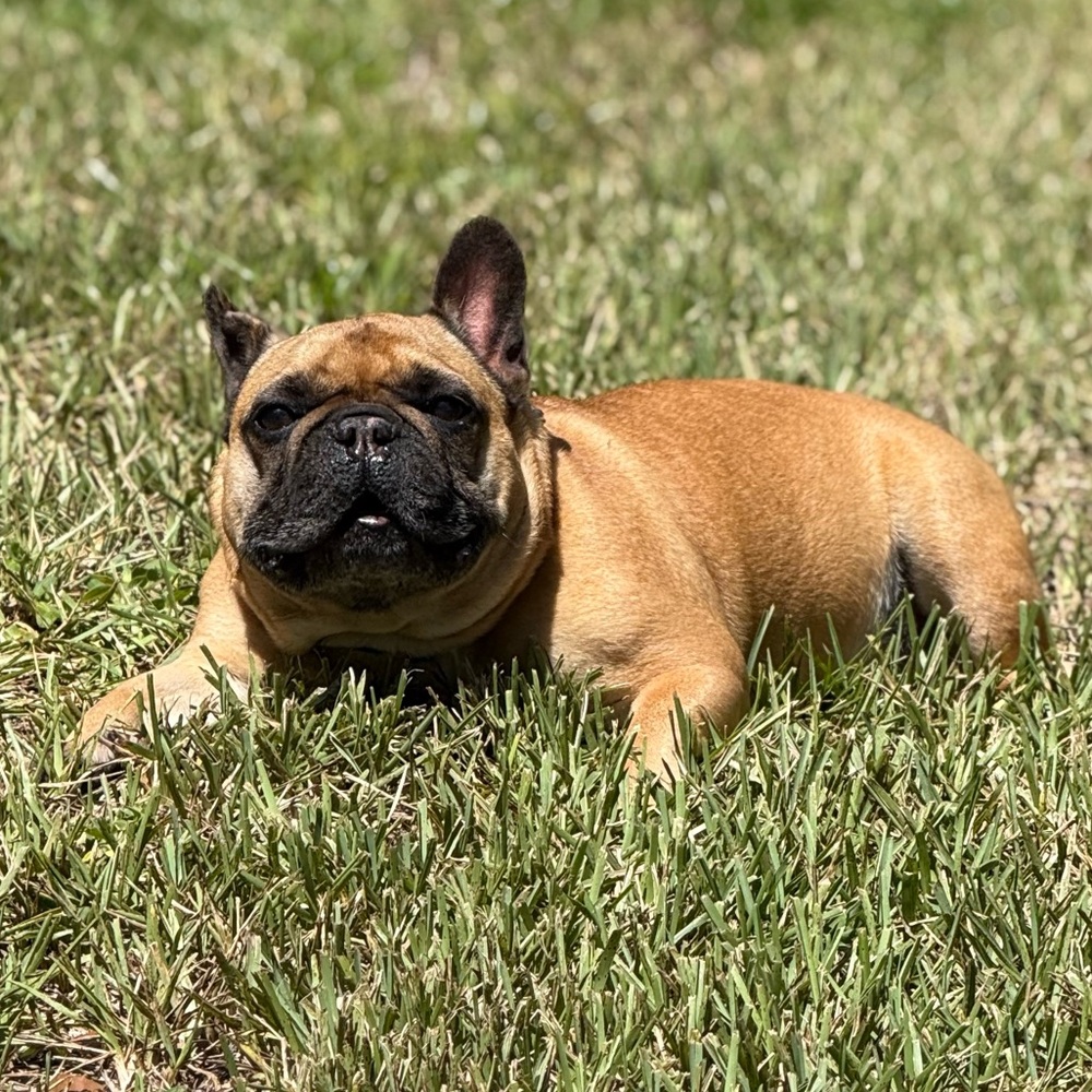 Meet your Posher, Russell